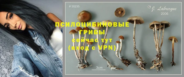 каннабис Корсаков