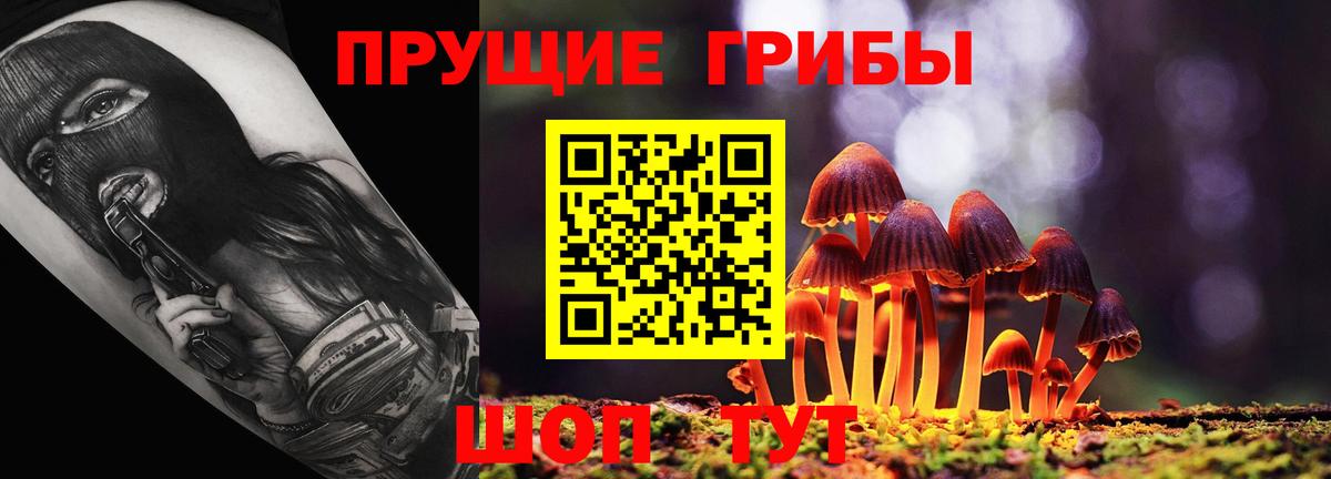 Мурманск  Галлюциногенные грибы MAGIC MUSHROOMS  Вход с VPN 